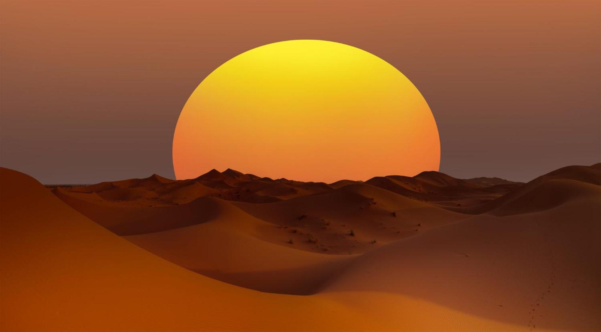 Desert Camel Trek Merzouga Eksteriør billede