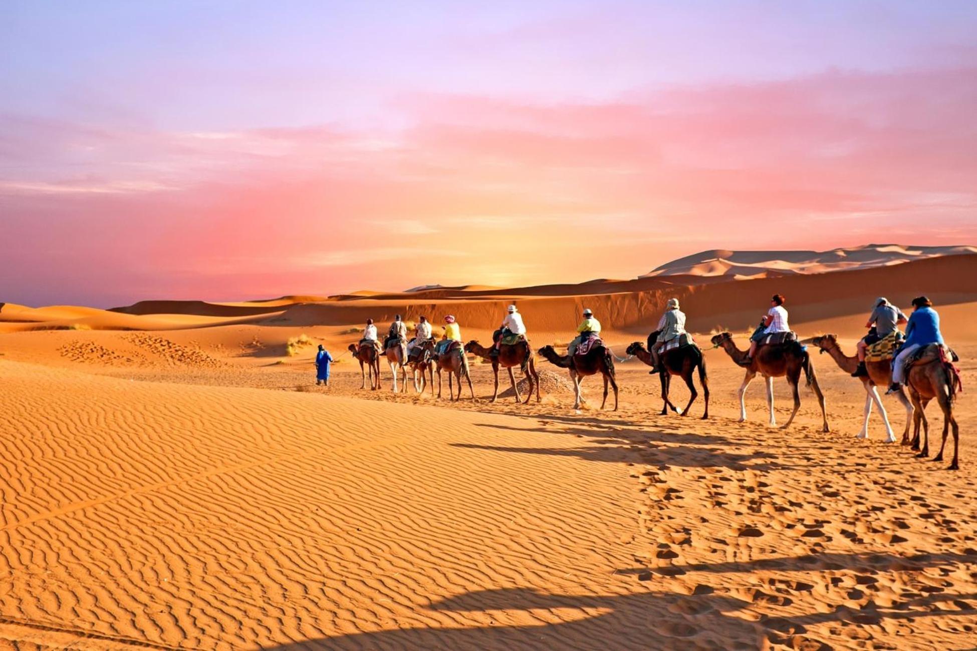 Desert Camel Trek Merzouga Eksteriør billede