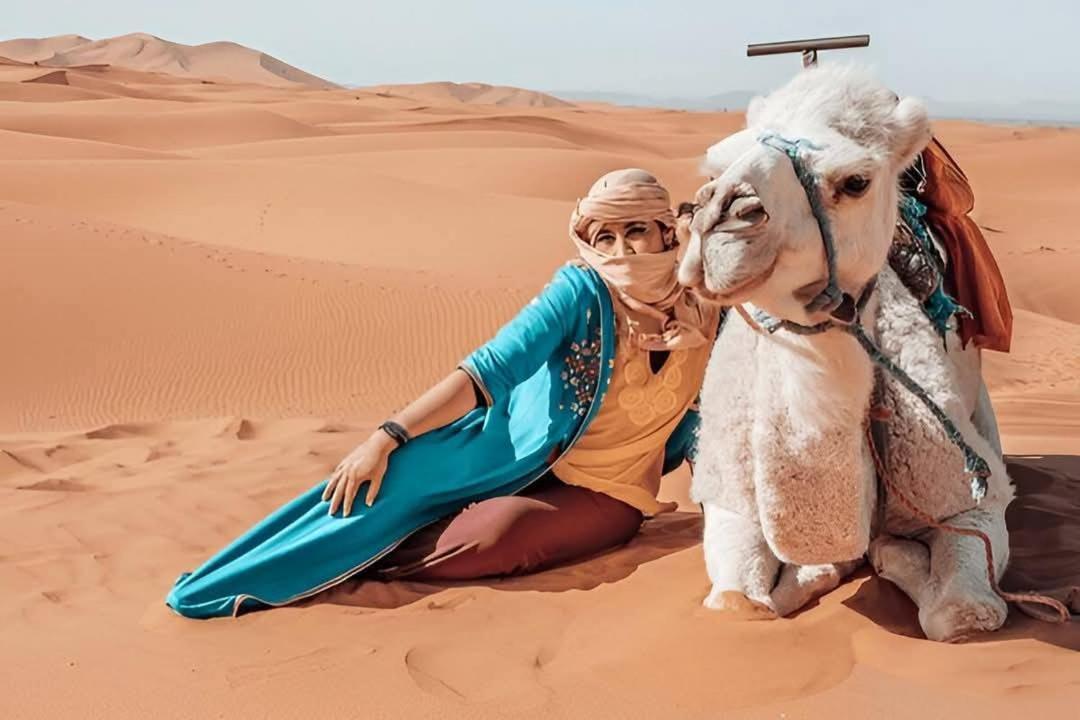 Desert Camel Trek Merzouga Eksteriør billede